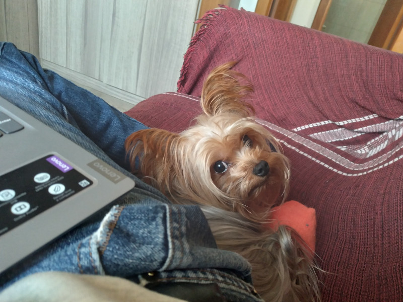 Apartamento à venda Petrópolis com 79m² e 3 quartos por R$ 680.000 - 670277540-20210513-171802.jpg