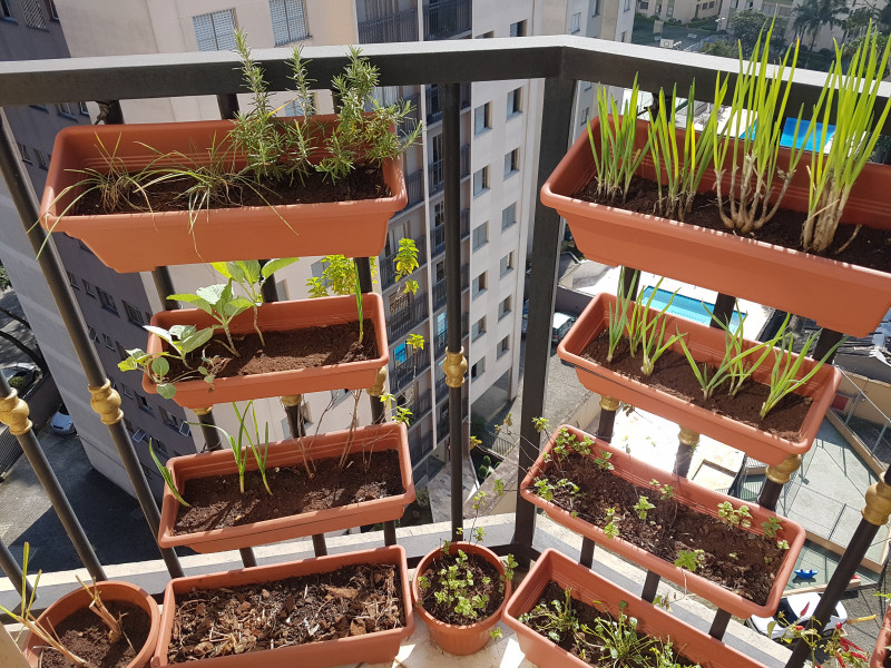 Apartamento à venda Parque Munhoz com 76m² e 3 quartos por R$ 430.000 - 799849918-20170616-112422.jpg