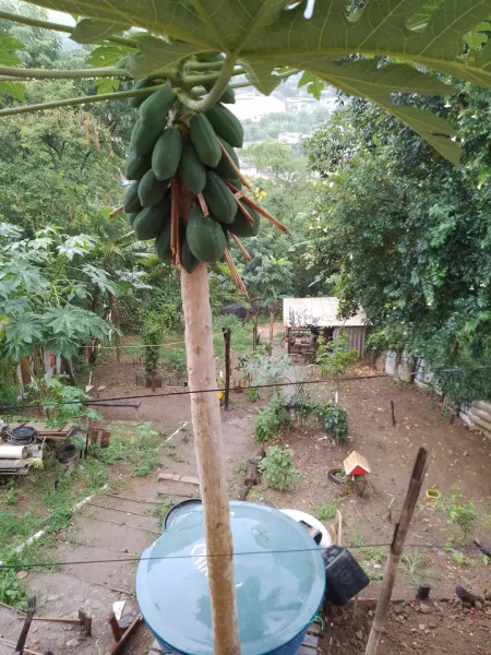 imóvel com 400m² - Ponto Chic - Nova Iguaçu