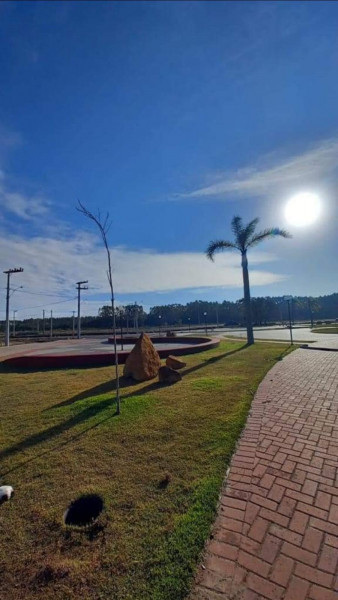 Terreno à venda Centro com 216m² e 1 quarto por R$ 98.000 - 1536593745-whatsapp-image-2023-08-02-at-10.jpeg