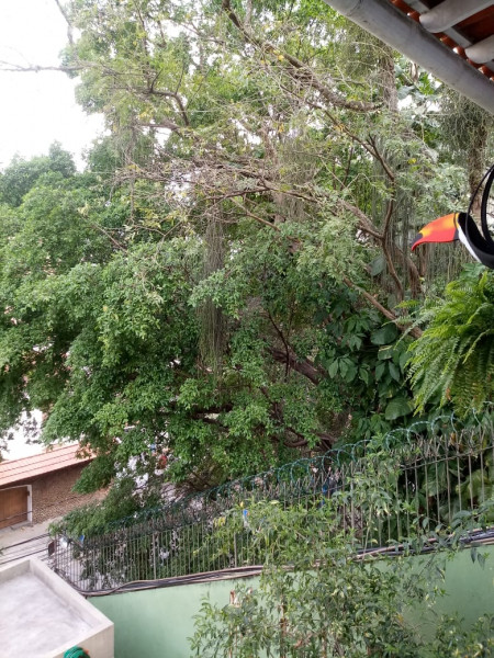 Casa à venda Grajaú com 345m² e 4 quartos por R$ 1.050.000 - 1814886726-img-20190920-wa0092.jpg