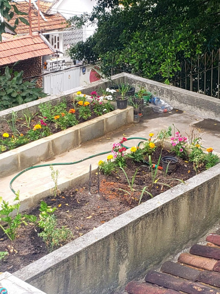 Casa à venda Grajaú com 345m² e 4 quartos por R$ 1.050.000 - 455095920-imagem-do-whatsapp-de-2023-11-29-as-19.jpg