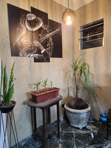 Casa à venda Jardim São Paulo(Zona Norte) com 500m² e 4 quartos por R$ 3.000.000 - 1415885536-foto42.jpeg