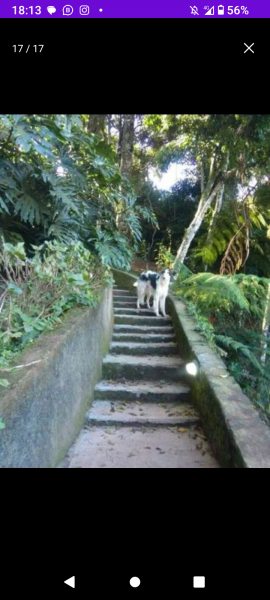 Casa à venda Parque do Ingá com 2000m² e 2 quartos por R$ 800.000 - 167681099-screenshot-20231130-181358.png