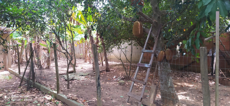 Chácara à venda centro com 1140m² e 3 quartos por R$ 250.000 - 1535238820-foto-37.jpeg
