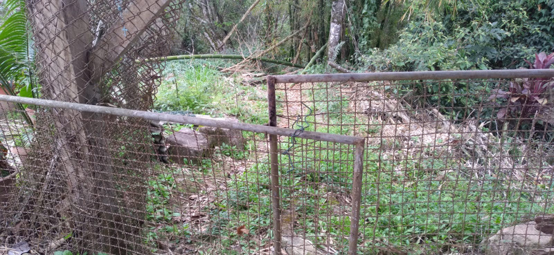 Terreno à venda Centro com 4000m² e 1 quarto por R$ 300.000 - 1248489731-whatsapp-image-2023-12-04-at-14.jpeg