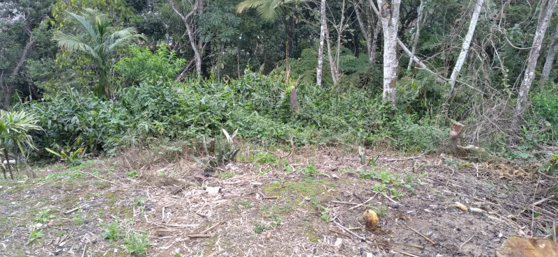 Terreno à venda Centro com 4000m² e 1 quarto por R$ 300.000 - 1276799409-whatsapp-image-2023-12-04-at-14.jpeg