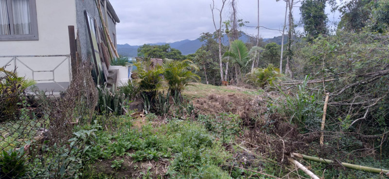 Terreno à venda Centro com 4000m² e 1 quarto por R$ 300.000 - 1357653794-whatsapp-image-2023-12-04-at-14.jpeg
