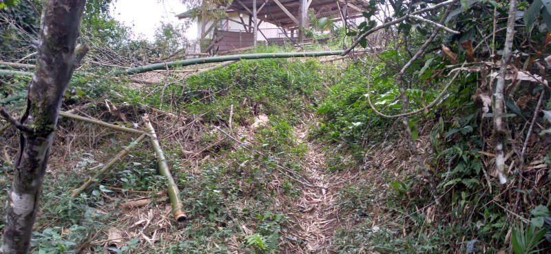 Terreno à venda Centro com 4000m² e 1 quarto por R$ 300.000 - 1535663927-whatsapp-image-2023-12-04-at-14.jpeg
