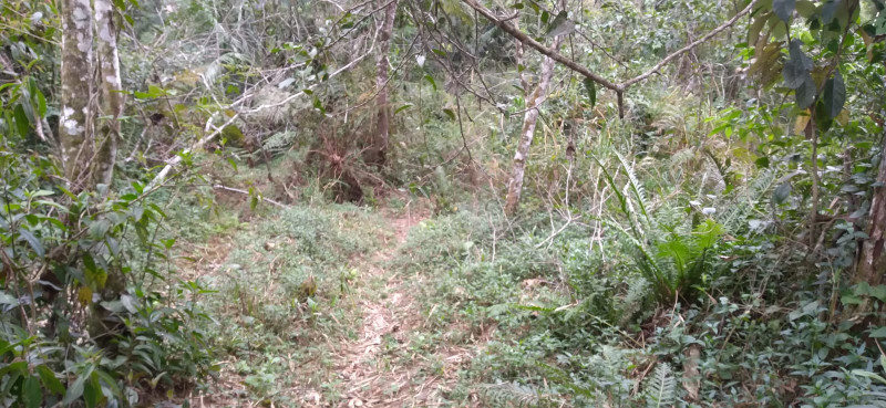 Terreno à venda Centro com 4000m² e 1 quarto por R$ 300.000 - 1680231511-whatsapp-image-2023-12-04-at-14.jpeg