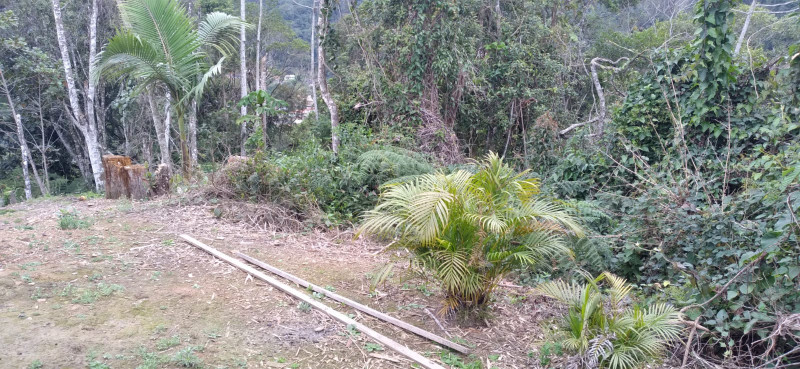 Terreno à venda Centro com 4000m² e 1 quarto por R$ 300.000 - 1828601765-whatsapp-image-2023-12-04-at-14.jpeg