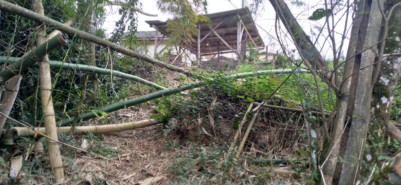 Terreno à venda Centro com 4000m² e 1 quarto por R$ 300.000 - 2018309667-whatsapp-image-2023-12-04-at-14.jpeg