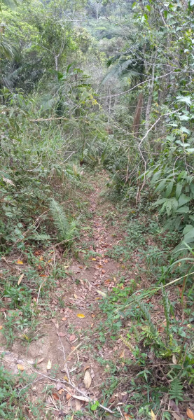 Terreno à venda Centro com 4000m² e 1 quarto por R$ 300.000 - 316775461-whatsapp-image-2023-12-04-at-14.jpeg