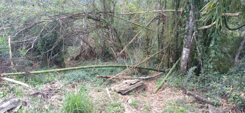 Terreno à venda Centro com 4000m² e 1 quarto por R$ 300.000 - 628112376-whatsapp-image-2023-12-04-at-14.jpeg