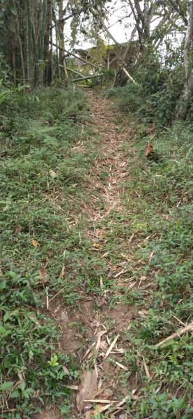 Terreno à venda Centro com 4000m² e 1 quarto por R$ 300.000 - 808455927-whatsapp-image-2023-12-04-at-14.jpeg