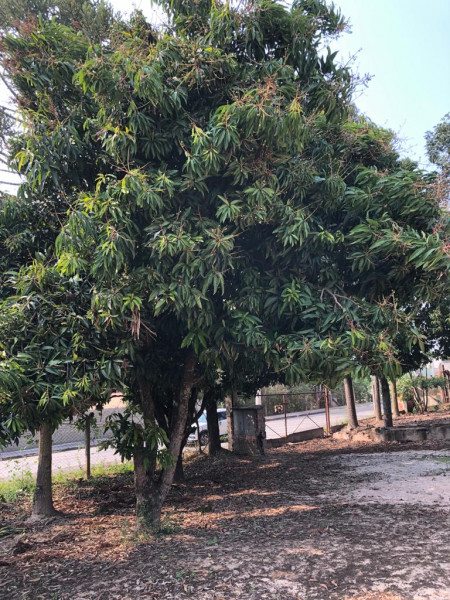 imóvel com 3000m² - Retiro São João - Sorocaba