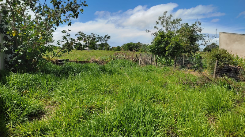 Terreno à venda Centro com 300m² e 1 quarto por R$ 110.000 - 1023760895-d1f4f966-77e6-4d40-ae23-5600941b1a6d.jpeg
