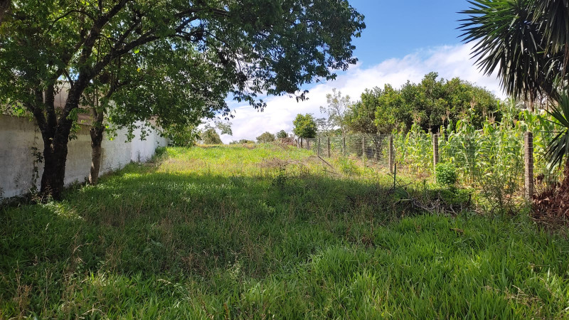Terreno à venda Centro com 300m² e 1 quarto por R$ 110.000 - 1144248493-e8723a11-e7b6-42bd-a4be-050cda34a85b.jpeg