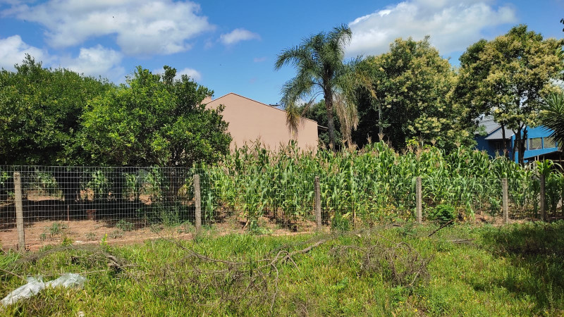 Terreno à venda Centro com 300m² e 1 quarto por R$ 110.000 - 1615457976-f4bd9366-1aab-4241-a740-5472eb9394e6.jpeg