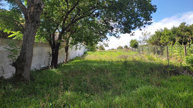 Terreno à venda Centro com 300m² e 1 quarto por R$ 110.000 - 593701010-3e2d2601-3ab9-43ce-9ed0-a44b7423cb44.jpeg