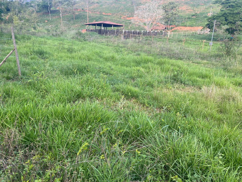 imóvel com 4000m² - Vila Isa - Governador Valadares