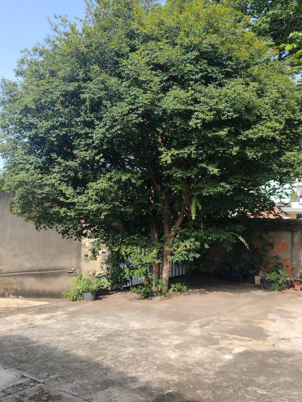 imóvel com 120m² - Jardim Santa Lúcia - Campinas