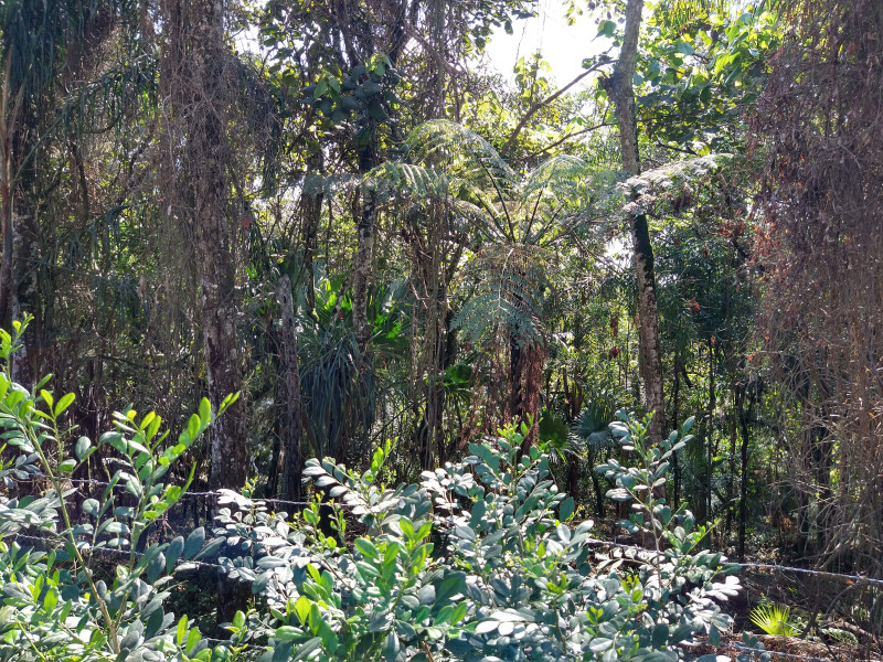 Terreno à venda Parque Rincão com 4752m² e 1 quarto por R$ 1.500.000 - 1060986972-1.jpg