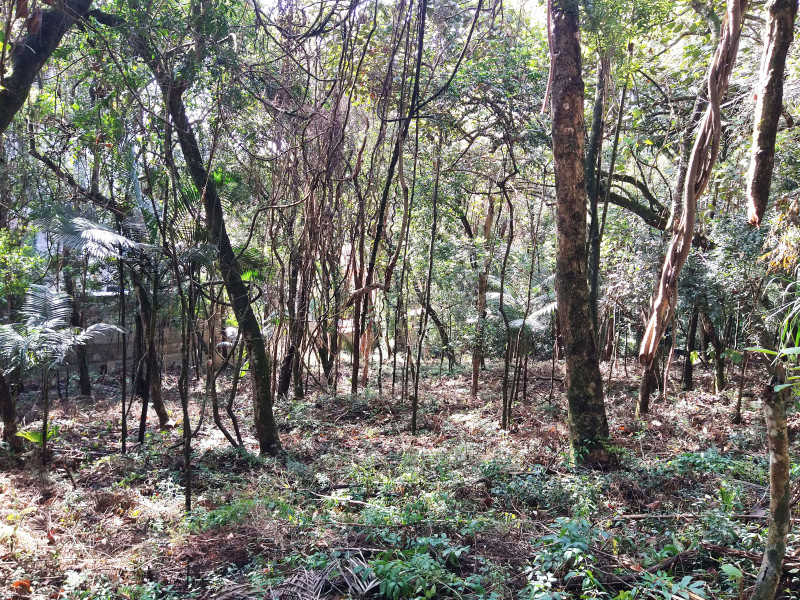 Terreno à venda Parque Rincão com 4752m² e 1 quarto por R$ 1.500.000 - 1176428097-15.jpg