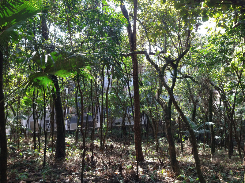 Terreno à venda Parque Rincão com 4752m² e 1 quarto por R$ 1.500.000 - 143151124-14.jpg