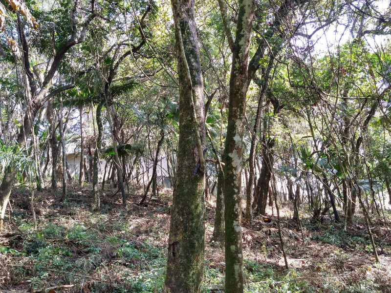 Terreno à venda Parque Rincão com 4752m² e 1 quarto por R$ 1.500.000 - 2053144454-17.jpg