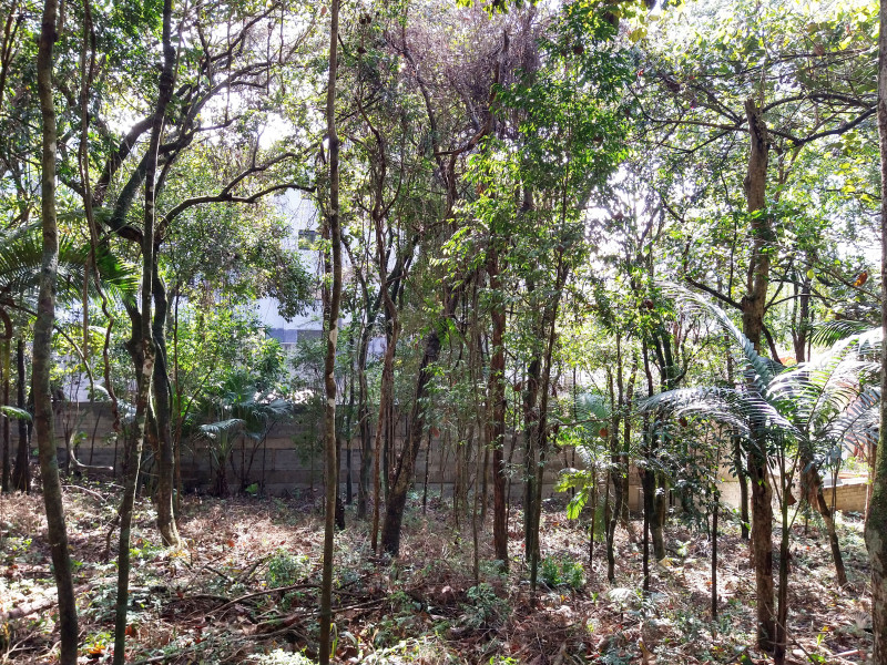 Terreno à venda Parque Rincão com 4752m² e 1 quarto por R$ 1.500.000 - 255455497-16.jpg