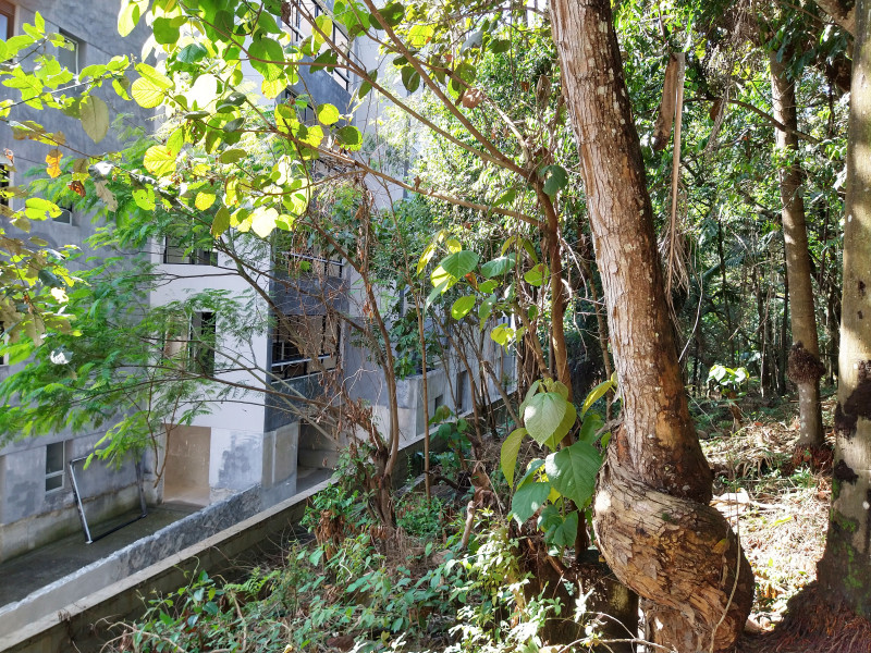 Terreno à venda Parque Rincão com 4752m² e 1 quarto por R$ 1.500.000 - 29270890-22.jpg