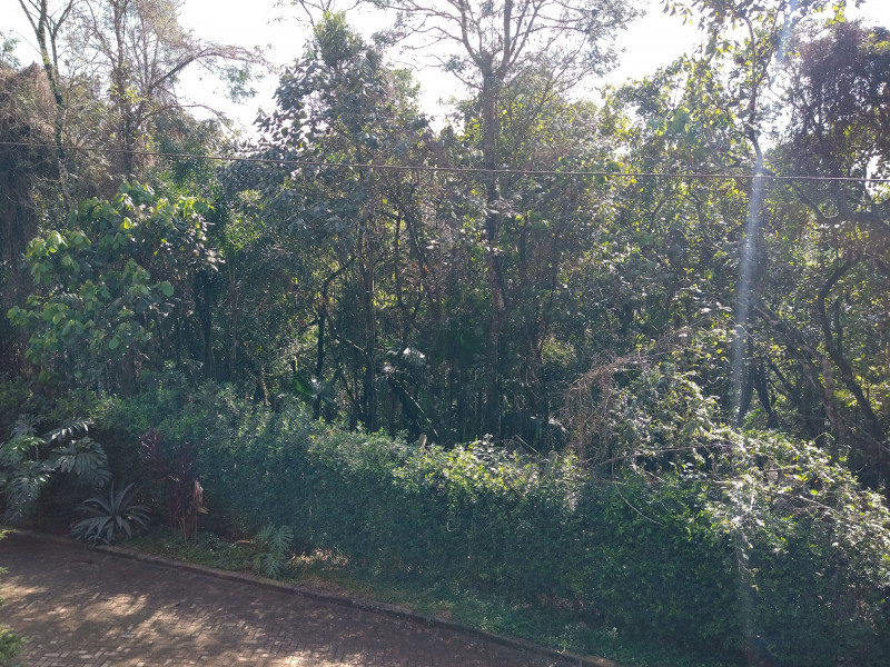 Terreno à venda Parque Rincão com 4752m² e 1 quarto por R$ 1.500.000 - 65603141-10.jpg