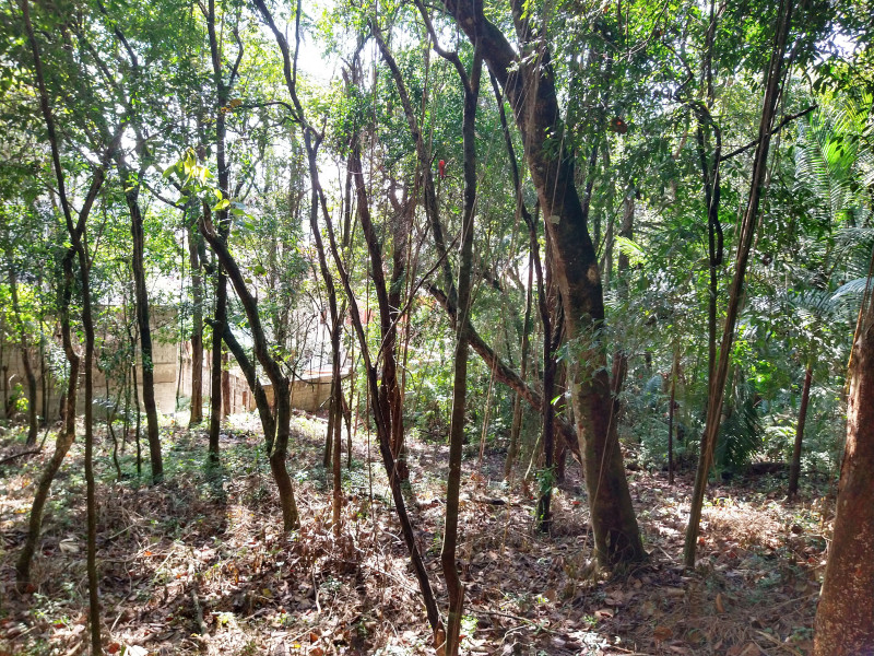 Terreno à venda Parque Rincão com 4752m² e 1 quarto por R$ 1.500.000 - 897744351-18.jpg