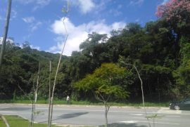 Terreno à venda Batistini com 164000m² - 1 dormitório -  vagas - R$ 16.000.000 - 410129753-img-20231005-wa00231.jpg