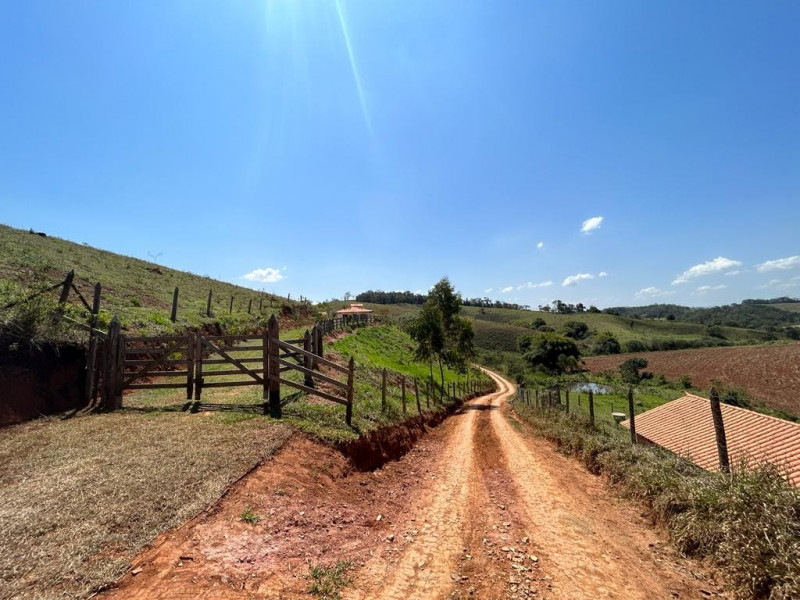 imóvel com 8000m² - Almeidas - Conselheiro Lafaiete