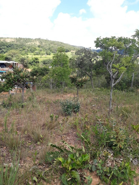 Terreno à venda Centro com 360m² e 1 quarto por R$ 30.000 - 1085303333-img-1920x-64f5dddcd3f032-08281981-83261716-1.jpg