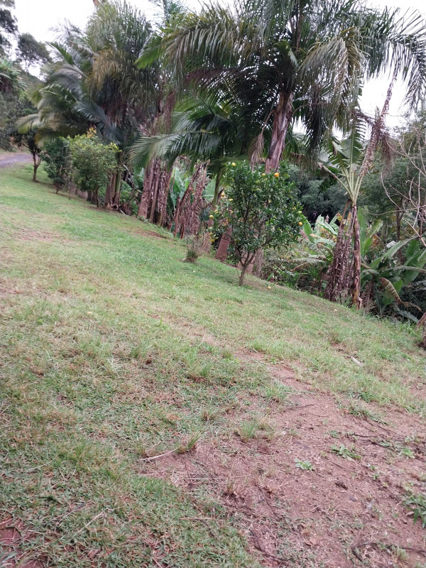 imóvel com 5000m² - Centro - Monteiro Lobato