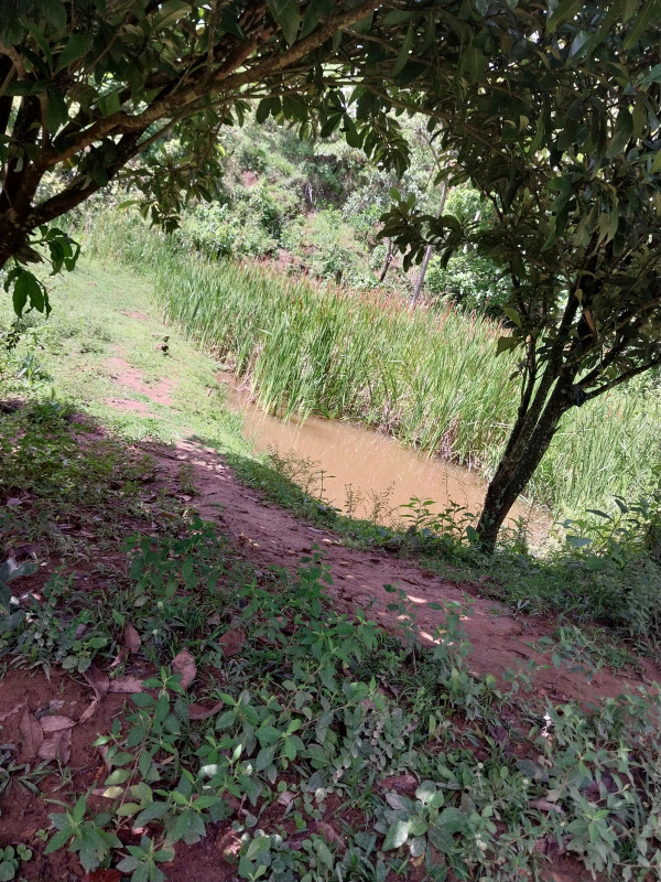 imóvel com 5000m² - Centro - Monteiro Lobato