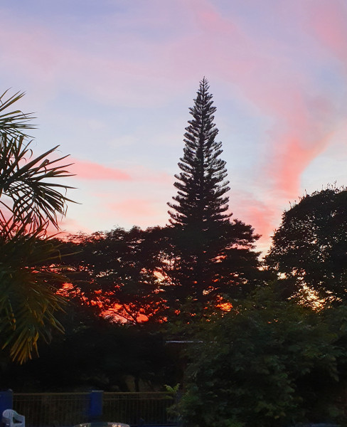 Casa à venda Jardim America com 300m² e 5 quartos por R$ 1.700.000 - 1636530348-20210404-060459.jpg