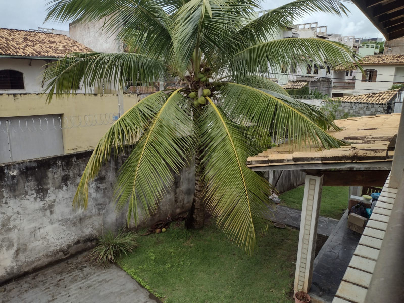 Casa à venda Piatã com 300m² e 4 quartos por R$ 600.000 - 346318876-whatsapp-image-2023-12-16-at-09.jpeg