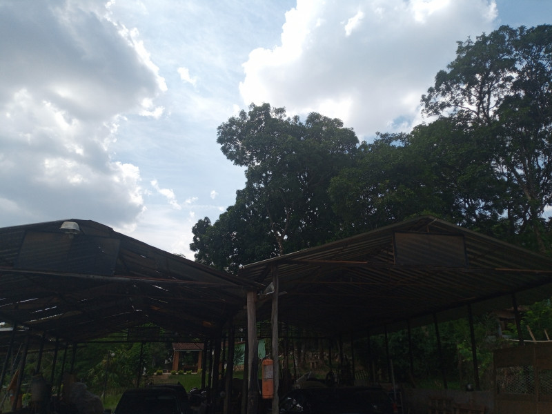 Terreno para alugar Chácaras Del Rey com 2500m² e 1 quarto por R$ 3.500 - 503874693-img-20231118-134407-999.jpg
