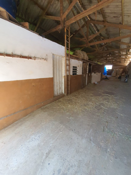 imóvel com 15000m² - Centro - Torrinha