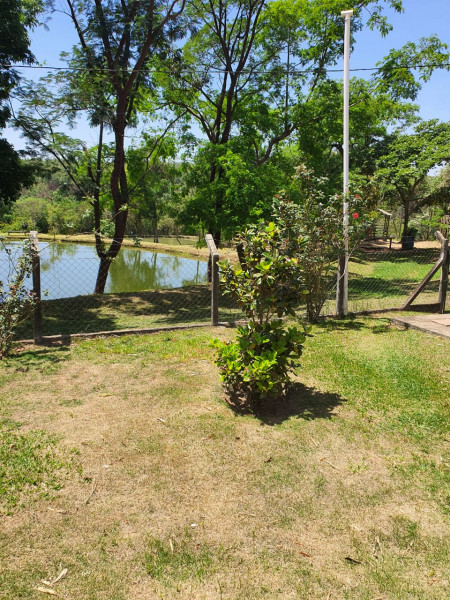 imóvel com 15000m² - Centro - Torrinha