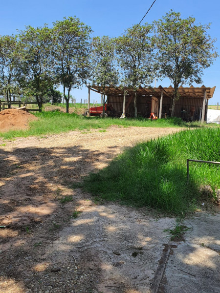 imóvel com 15000m² - Centro - Torrinha