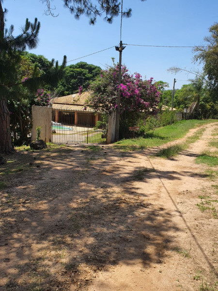 imóvel com 15000m² - Centro - Torrinha