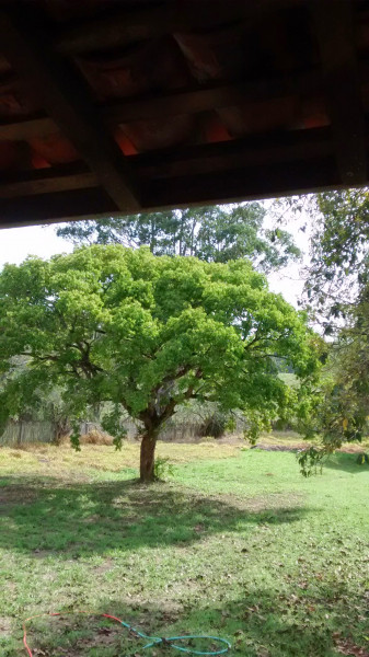 Chácara à venda Perímetro Urbano com 9300m² e 4 quartos por R$ 800.000 - 1340322834-img-20140930-wa0001.jpeg