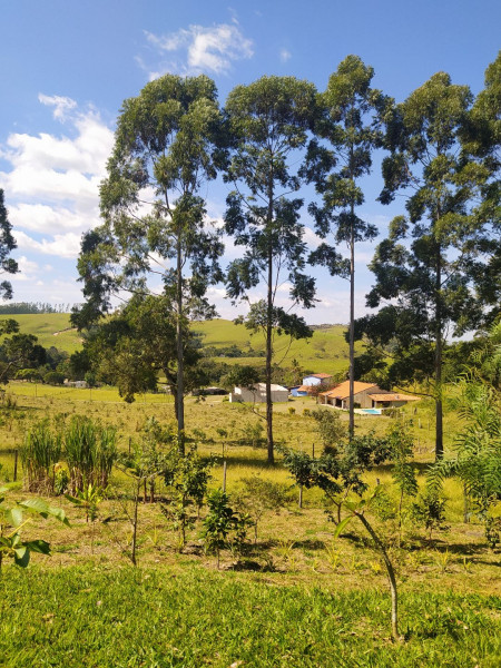 Terreno à venda Centro com 1000m² e 1 quarto por R$ 90.000 - 187197729-bcffe5a2-f569-4936-a879-a3a4c93cfc95.jpg