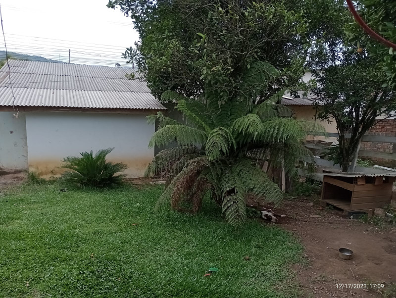 Terreno à venda Cantagalo com 228m² e 1 quarto por R$ 130.000 - 1029084590-img-20231217-wa0219.jpg