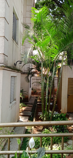 Apartamento à venda Vila Curuça com 45m² e 1 quarto por R$ 200.000 - 254558317-img-20231221-123349-1.jpg